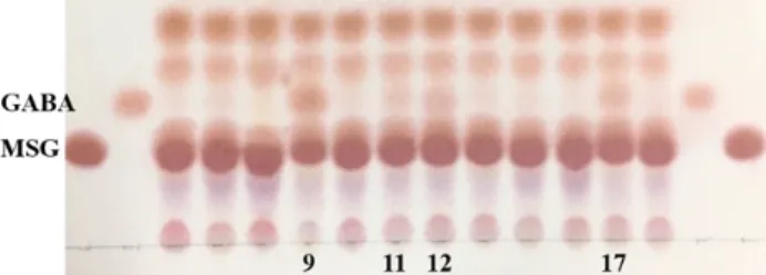 Fig.  1.  The  thin  layer  chromatography  of  Kimchi  samples  in  MRS  broth  supplemented  with  1% 