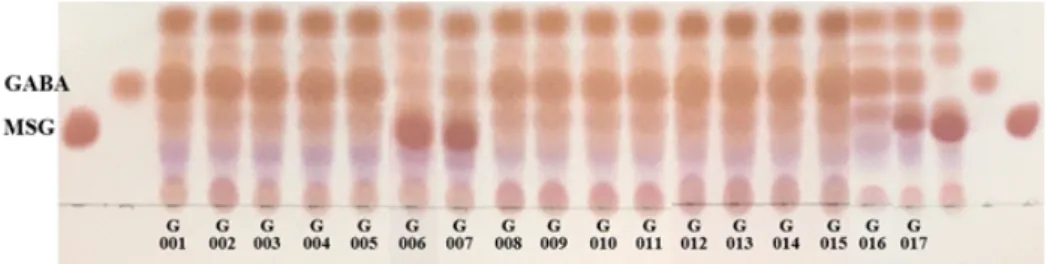 Fig.  4.  DPPH  radical  scavenging  activity  by  supernatant  of  Levilactobacillus  brevis  BMSE-G001  to  G017.