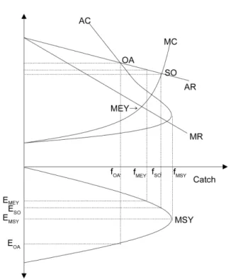 Fig. 1. Catch and fishing effort in MEY, MSY, and OA 