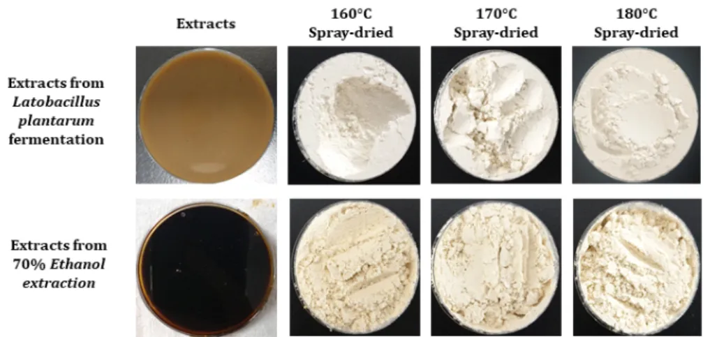 Fig.  2.  The  appearance  of  samples  according  to  different  process.