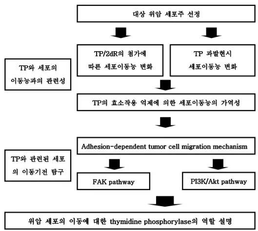 Figure 1. Study SchemeFigure 1. Study SchemeFigure 1. Study Scheme Figure 1. Study Scheme    
