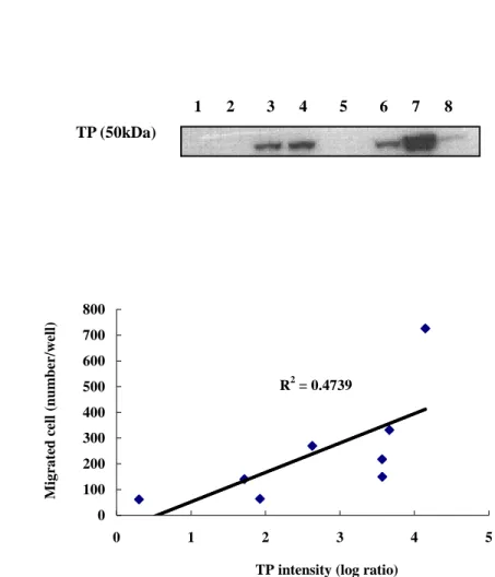 Figure  2.  The  correlation  between  TP  expression  and  cell  Figure  2.  The  correlation  between  TP  expression  and  cell Figure  2