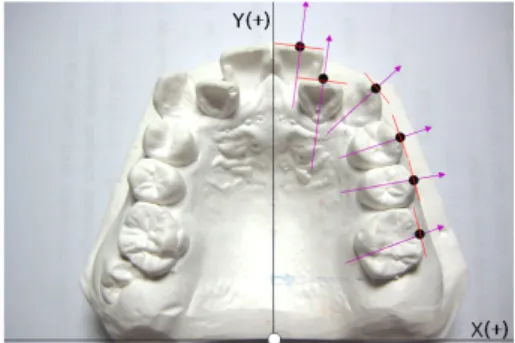 Figure  2.  Setting  point  for  tooth                    Figure  3.  Cutting  line  for  teeth  &amp;                                                                                 normal  degree  to  Y  axis  of  tooth                                   
