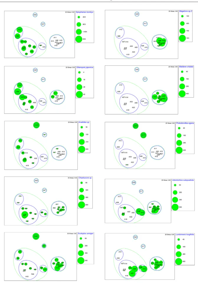 Fig. 6. MDS ordination plots and the spatial distribution of 8 characteristic species emerged by the SIMPER analysis in August 2012 