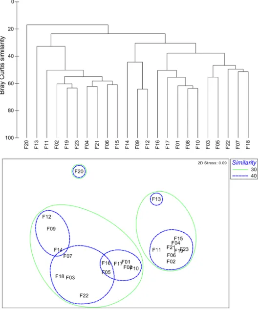 Fig. 7. Dendrogram and 2-dimensional plot of stations result from the cluster analysis and MDS ordination using the macrobenthic faunal abundance data, respectively in February 2013 