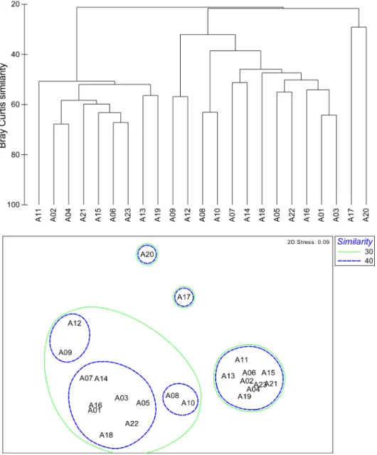 Fig. 5. Dendrogram and 2-dimensional plot of stations result from the cluster analysis and MDS ordination using the macrobenthic faunal abundance data, respectively in August 2012 