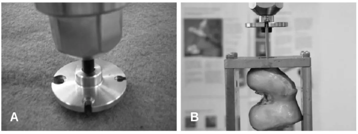Fig. 2. Maximum pull out strength was measured according to the time (MPS: maximal pullout strength)