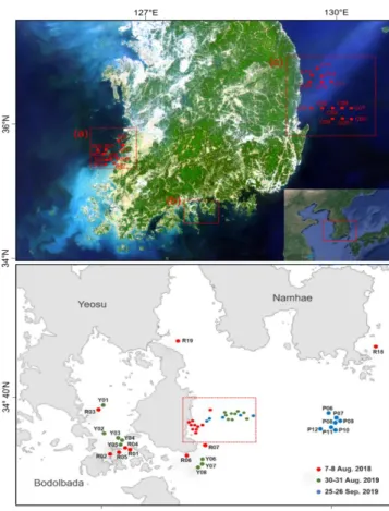 Fig. 1. The study area used for red tide detection (Top). (a) the Saemangeum coast in the West Sea, (b) the  Yeosu and Namhae coast in the South Sea, and (c) the East Sea of Korea