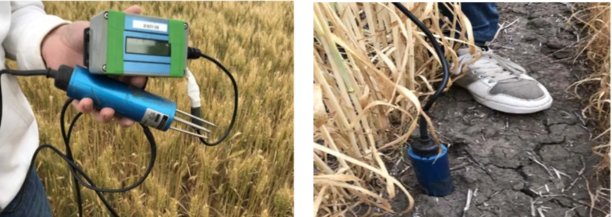Fig.  1.  MP306  Moisture  Sensor  for  measurement  of  soil  moisture.