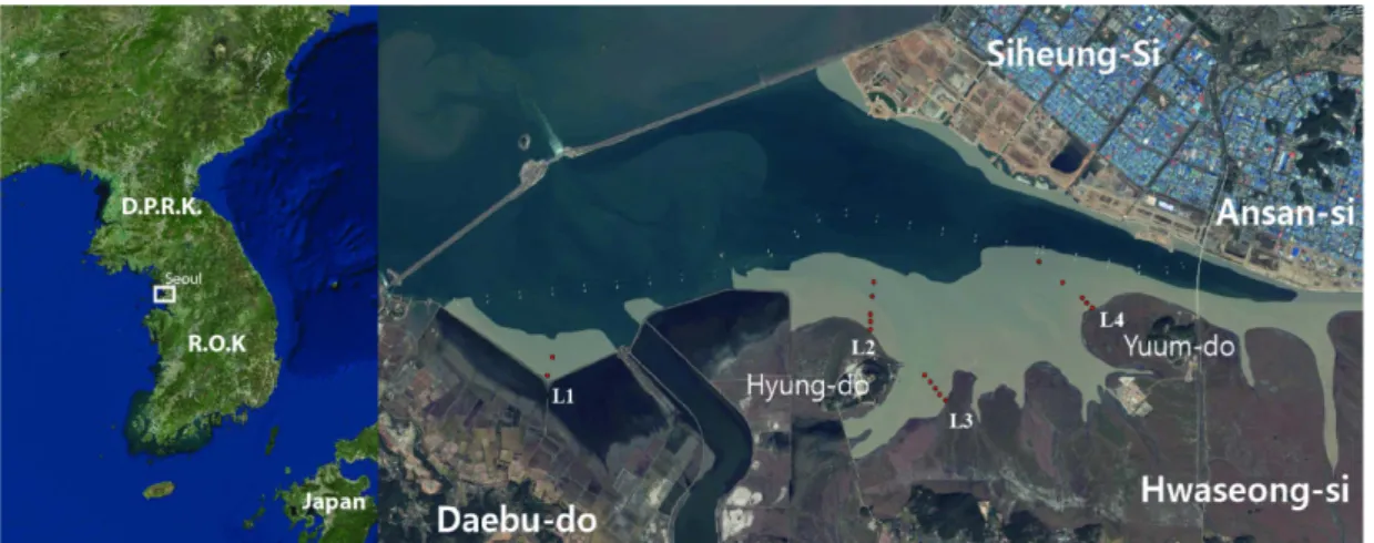 Fig. 1. Location and layout of the study site for macrobenthos in Sihwa tidal flat  