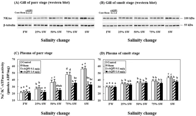 Fig. 6. Effects of recombinant AQP3 (rAQP3) treatment on plasma osmolality levels after transitioning from freshwa- freshwa-ter to salt wafreshwa-ter (FW → SW), and affreshwa-ter rAQP3 injection in parr (A) and smolt (B) rainbow trout