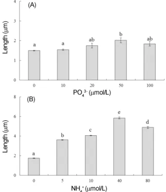Fig. 2A).  또한, 배양 24일 후 배아길이는 239.40−461.01 μm였으며 상대생장률은 15.40−18.82% day −1 로서 염분별 로  차이가  있음을  확인하였고(F 4,10 = 32.69, p < 0.001, Fig