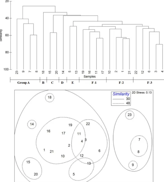 Fig. 5. Dendrogram and nMDS plots based on the mean values of macrobenthic abundance data 