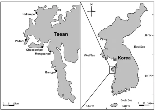 Fig. 1. Sampling area of five study sites (•) on the coast of Taean Peninsula, Korea