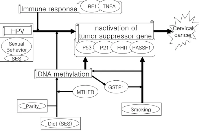 Figure 2. The Framework of the Study