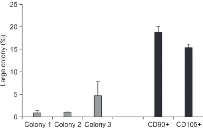 Figure 4. Quantification of colony-forming units. The number of large  colonies was counted and the percentage of large colonies was  mea-sured.