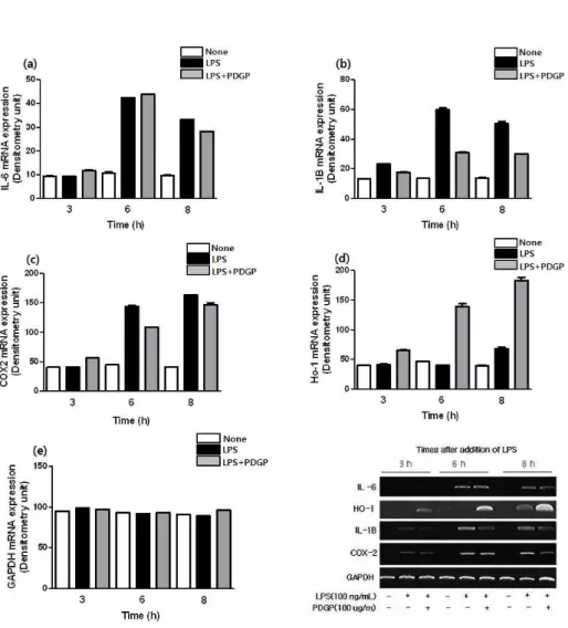 Fig.  3.  The  mRNA  of  inflammatory  response  factors  were  analyzed  by  RT-PCR. 