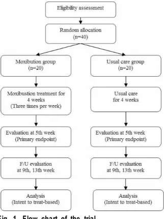 Fig.  1.  Flow  chart  of  the  trial.