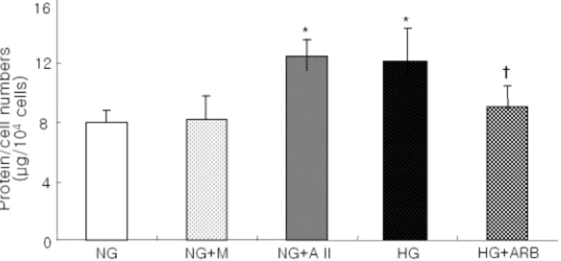 Fig. 1. Cellular hypertrophy expressed as protein/cell numbers in podocytes exposed to normal glucose (5.6 mM, NG), NG ＋