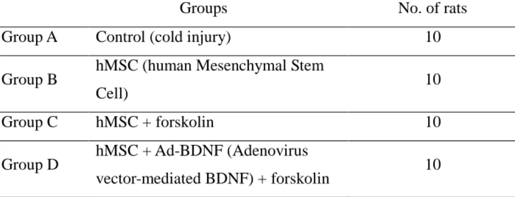 Table 1. Experimental groups 