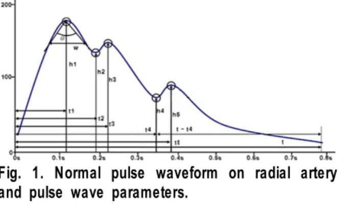 Fig.  1.  Normal  pulse  waveform  on  radial  artery  and  pulse  wave  parameters.
