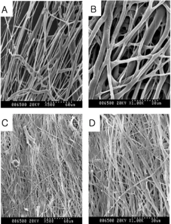Figure 1.  (A and B) Electrospun PLGA collected on a mandrel revolv-