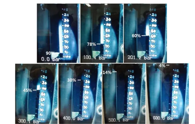 Fig. 7. Image of changed compensator volume under each pressure condition