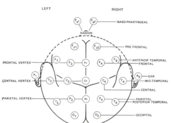 Fig.  1.  Ten-twenty  electrode  system.