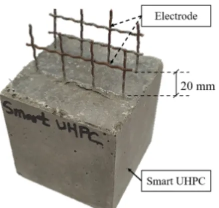 Fig.  4.  The  specimen  shape  for  evaluation  for  electro-mechanical  behavior