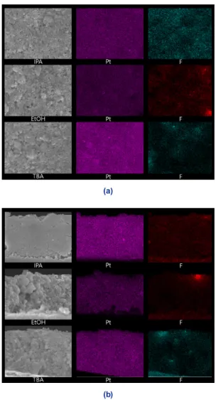 Fig. 5. Surface and cross-section scanning electron micro- micro-scope images of electrode with EDS analysis; (a) surface  im-age, (b) cross-section image