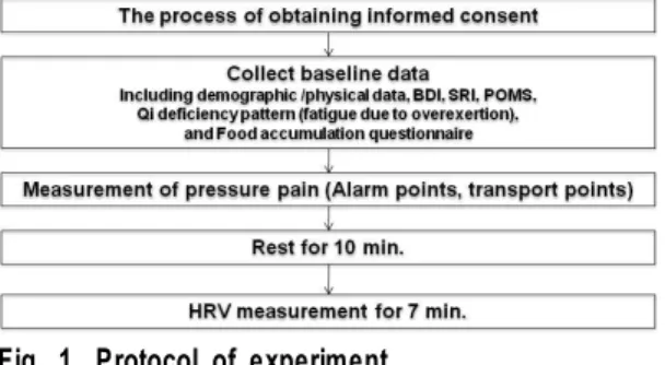 Fig.  1.  Protocol  of  experiment.