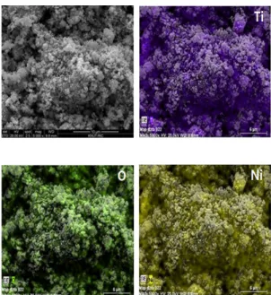 Fig. 2. Scanning electron microscope images and energy -  dispersive X-ray spectroscopy of the TiN-Al 2 O 3 -Ni compositesFig