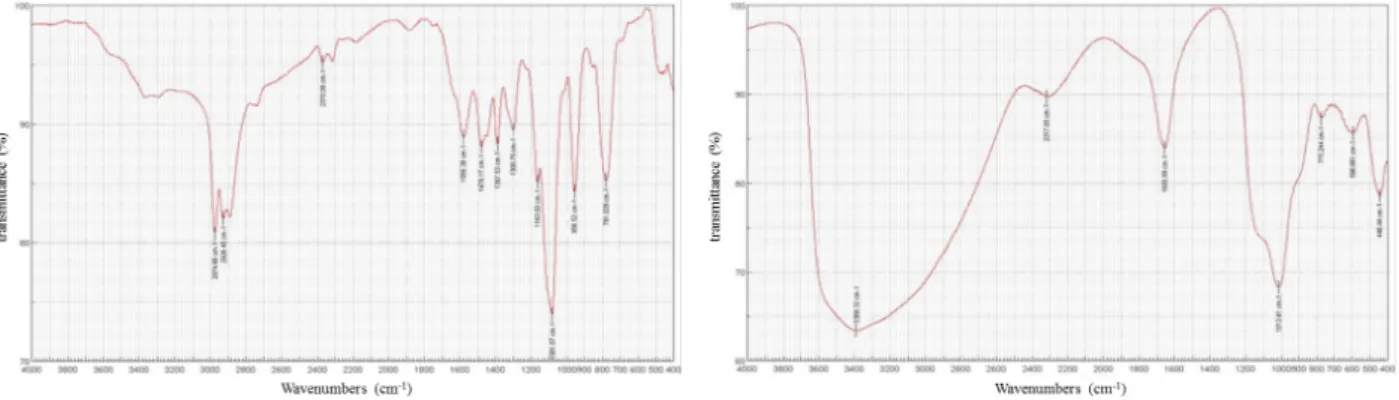 Figure 4. Experimental samples. 