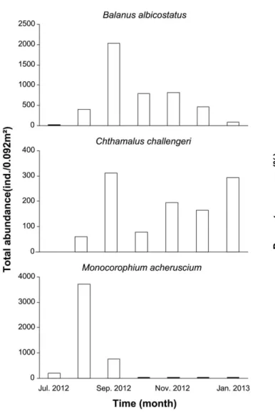 Fig. 6. Temporal variation of dominant species affecting the recruitment and growth of oysters at the farming site from July 2012 to December 2012