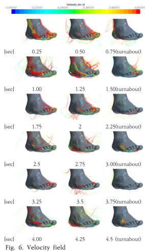 Fig.  6.  Velocity  field 