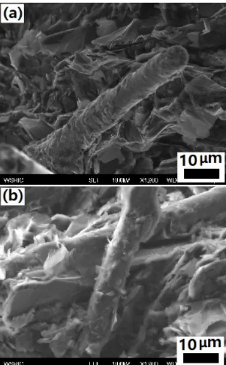 Fig. 7. SEM photos for (a) fractured surface of E25-GP75 and  (b) epoxy silane-modified CF and GF surface from the fractured  surface in E25-GP65-CF2-GF8