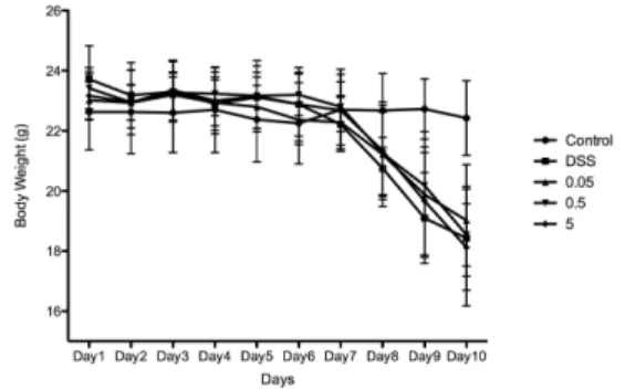 Fig.  5.  Effect  of  AFI  pharmacopuncture  on  LPS-  induced  COX-2  expression. 
