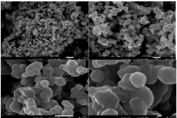 Fig. 2는 LMNO cathode 물질의 SEM  이미지이다. 