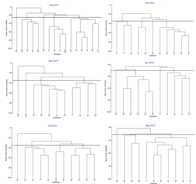 Fig.  5.  Clustering  analysis  from  macrobenthic  fauna  at  each  sampling  date