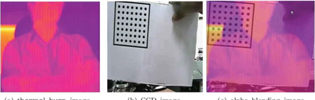 Figure 7. Thermal burn and CCD &amp; Alpha blending image.