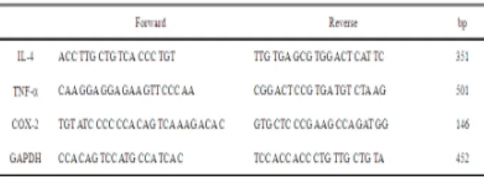 Table 2. Effect of CR herbal acupuncture on the compound 48/80 induced active systemic