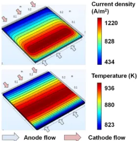Fig. 4. Current density and temperature distribution of current  density distribution of the counter-flow type MCFC 