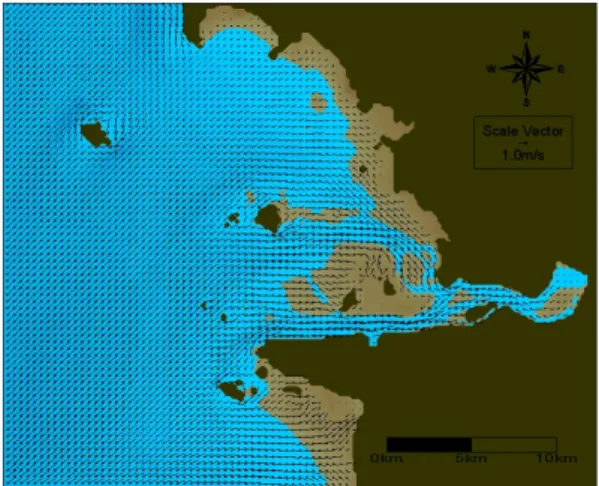 Fig.  11.  Tidal  current  vectors  at  3  (lunar  time)  for  CASE1.