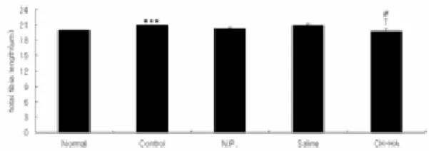 Fig. 3. Effect of CH-HA on the uterine weight  and the uterus index in ovariectomized  mice.