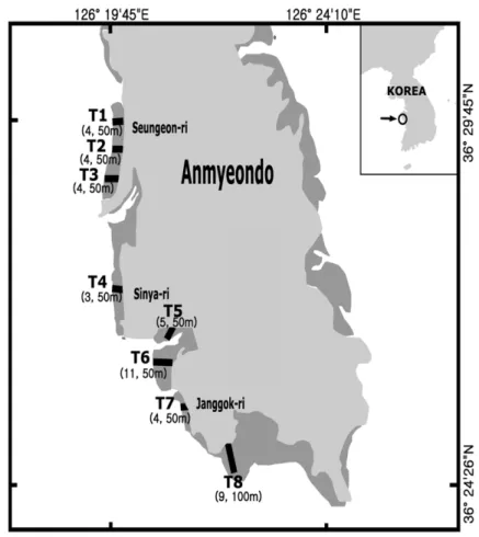 Fig. 1. A map showing the sampling sites (T1-T8), The numbers in the parentheses showed the number of stations and the distance of each line, respectively