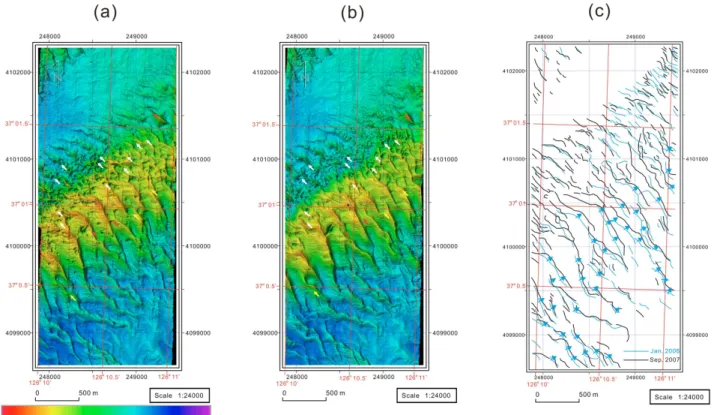 Fig. 4. High-resolution bathymetries of study area in (a) January 2006 and (b) September 2007 (modified from Kum et al