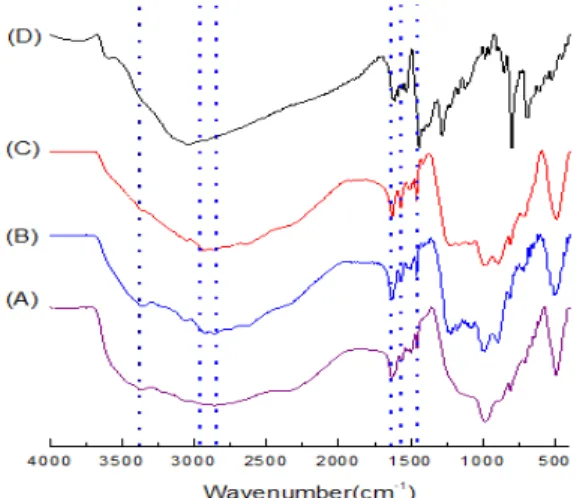Fig. 2. FT-IR spectroscopy of the PBI random copolymers: (A)  X 1 Y 9 , (B) X 1 Y 1 , (C) X 9 Y 1 , and (D) m-PBI.