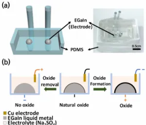 Fig. 1. (a) Experimental setup of a EGaIn capacitor. (b) Electro-  chemical process for removal or formation of the oxide layer  on EGaIn electrodes by bias application 