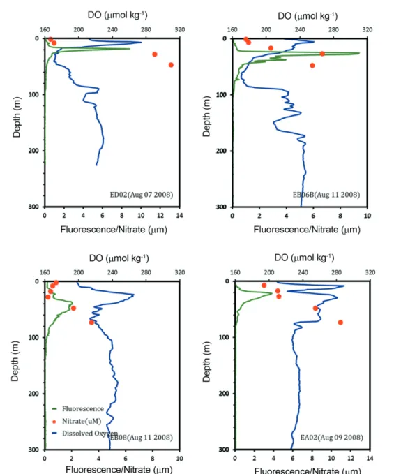 Fig. 8. Vertical profiles of fluorescence (green line), dissolved oxygen (blue line), and nitrate concentration (red dot) observed in the Ulleung Basin of the East Sea during August 2008