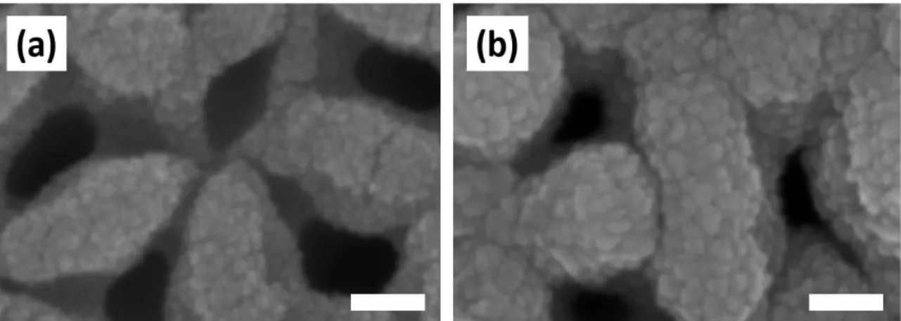 Fig. 7. FE-SEM top view images of ~150-nm-thick Ni bottom electrode layers (BELs) deposited on the upper side of an anodic  aluminum oxide (AAO) substrate with ~65-nm-sized pores: (a) ~4 mTorr Argon, (b) ~48 mTorr Argon